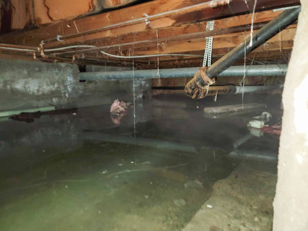 Best 24-hour water damage restoration  in Hawkins, TX