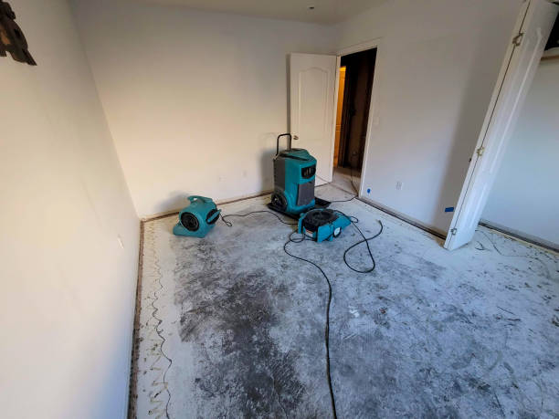 Best Professional water damage repair  in Hawkins, TX