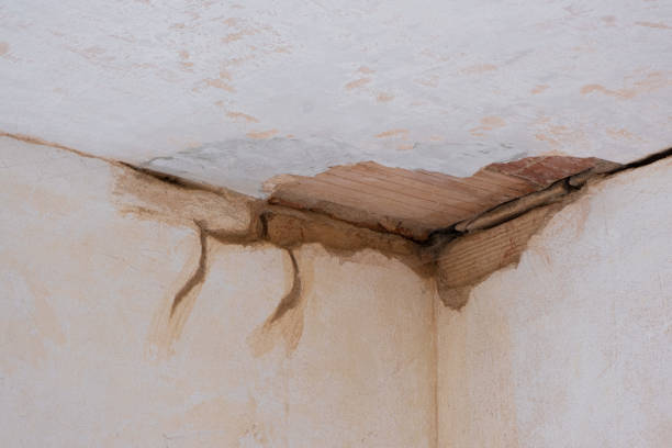 Best Water damage restoration near me  in Hawkins, TX