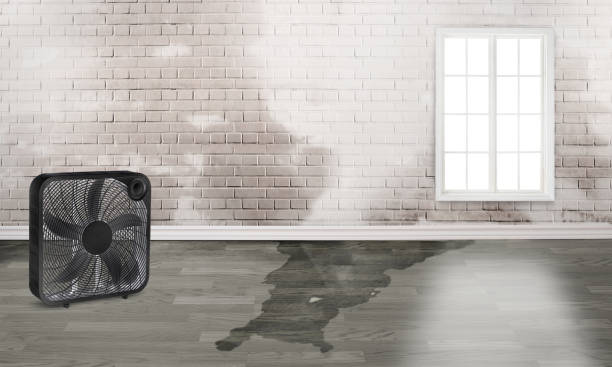 Best Commercial water damage restoration  in Hawkins, TX
