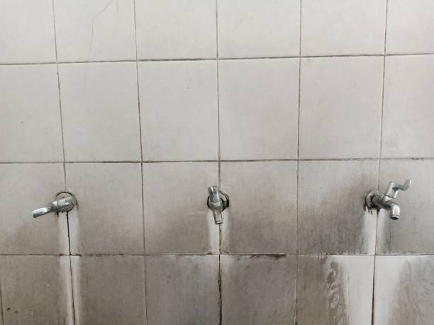 Best Local water damage restoration  in Hawkins, TX