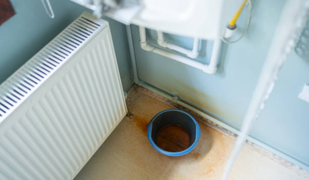 Best Water damage restoration mold remediation  in Hawkins, TX