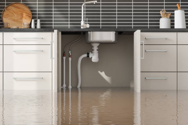 Best Flood restoration services  in Hawkins, TX